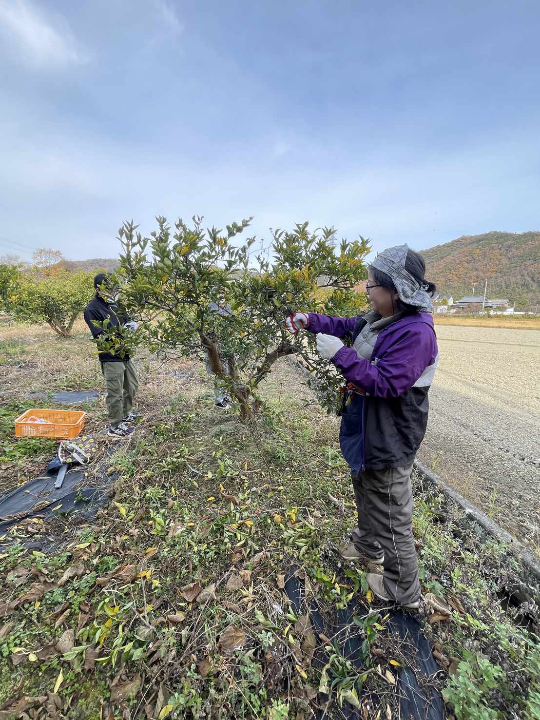 しらさきテラスお仕事1